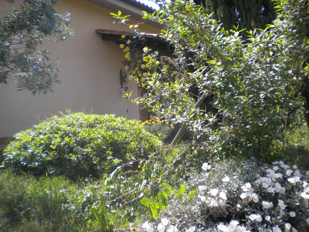 Le Tre Querce Bed & Breakfast Fiano Romano Dış mekan fotoğraf
