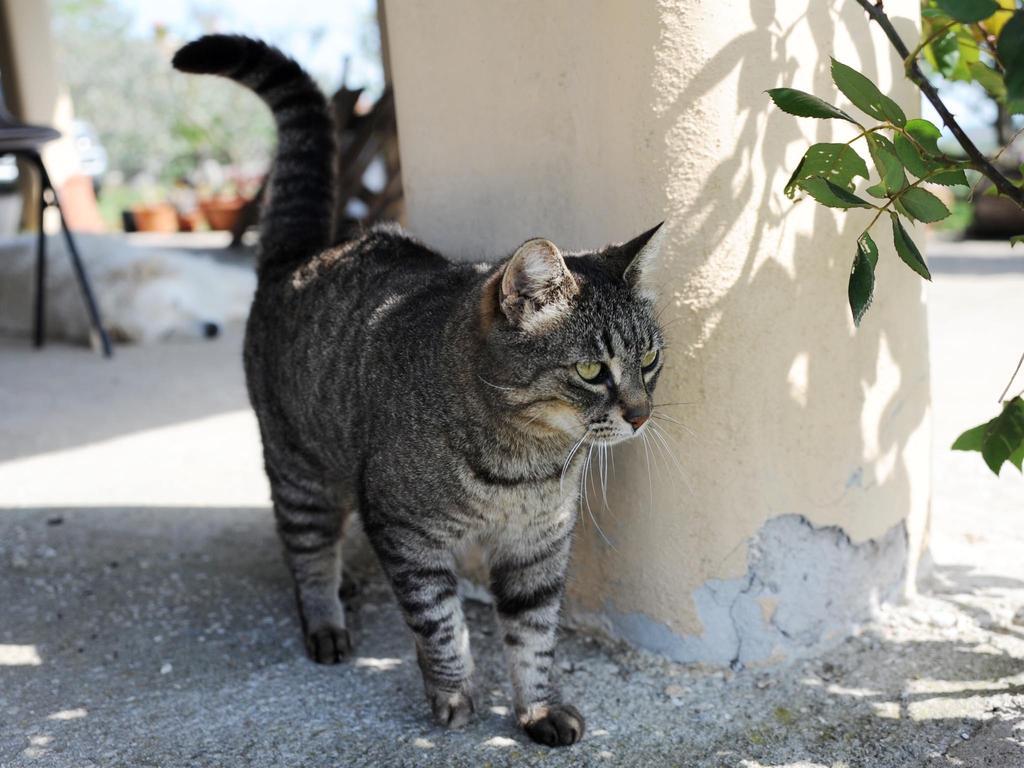 Le Tre Querce Bed & Breakfast Fiano Romano Dış mekan fotoğraf